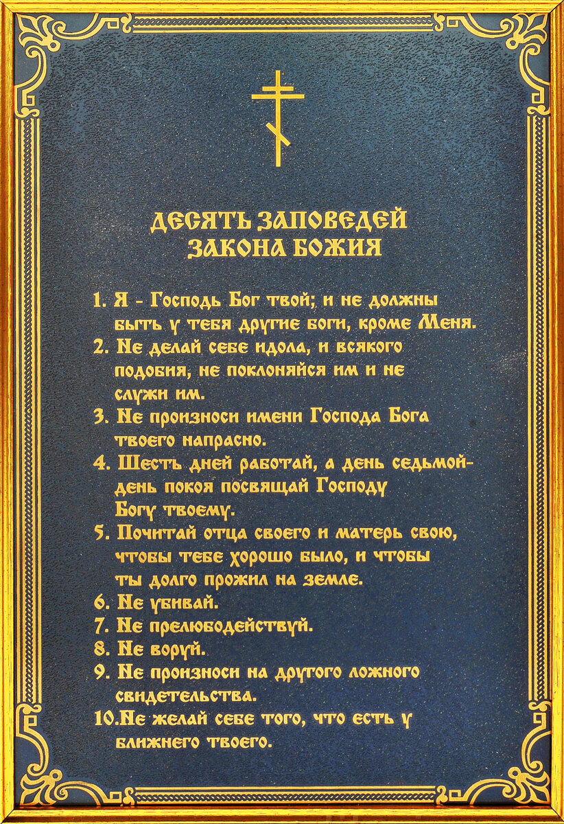 Фото взято из Яндекса.