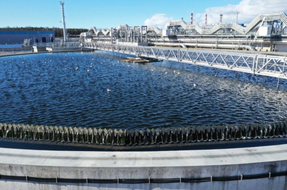    К концу 2023 года уровень очистки сточных вод Петербурга достиг 99,8%