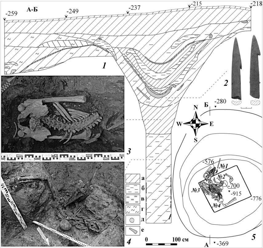 Руинированный колодец с групповым захоронением: 1 — профиль сооружения (а — гумусированный суглинок, б — глина, в — обожженная почва, г — зола, д — камень, е — кость животного); 2 — костяные наконечники гарпунов из заполнения; 3 — скелет № 1; 4 — скелеты № 2 и № 3; 5 — план захоронения / Юрий Разуваев и Ирина Решетова / Уральский исторический вестник, 2021