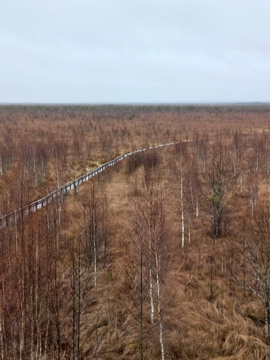 Свежие индивидуалки Западной Двины — Гранд путаны