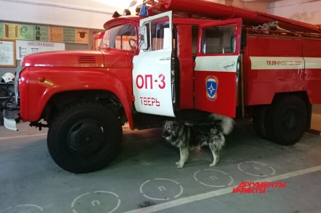    Фото: АиФ в Твери