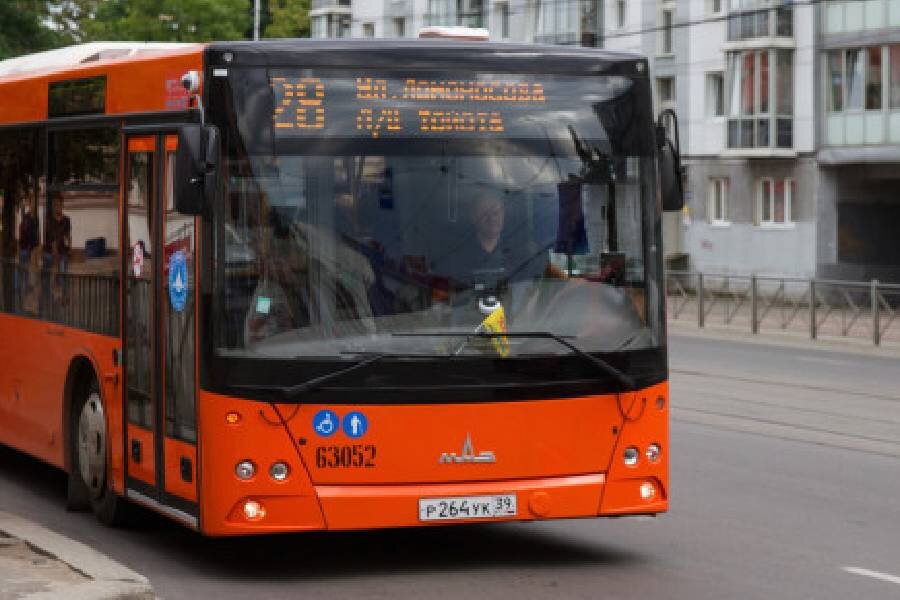 Гортранс автобус. Автобус МАЗ Калининград 63066. Автобусы Калининград ГОРТРАНС. 28 Автобус Калининград. Калининградский автобус МАЗ