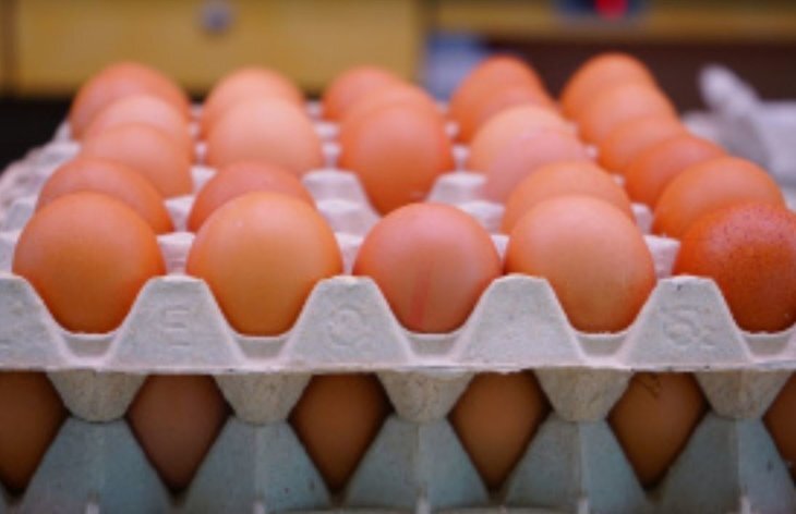    Управление сельского хозяйства Липецкой области заключило соглашение с главным производителем куриных яиц в регионе