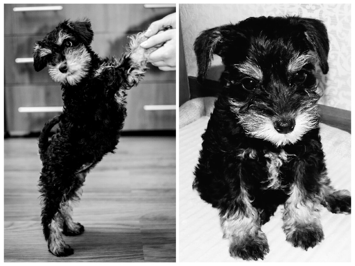 Фотографий с первой прогулки, как вы понимаете, у меня нет 😁