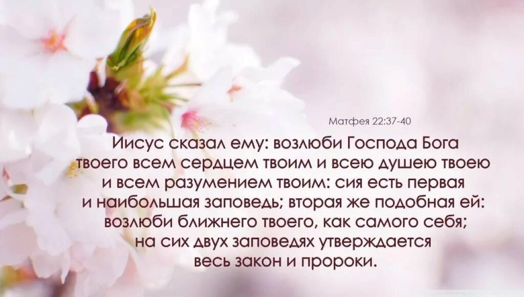 Матфея 5 слушать. Христианские высказывания. Христианская любовь к ближнему. Библейские стихи о любви. Любовь к Богу цитаты