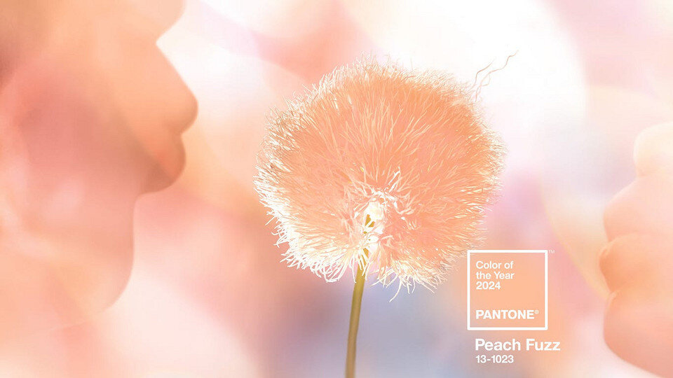 Главный цвет 2024 года по версии института цвета Pantone "Peach Fuzz"