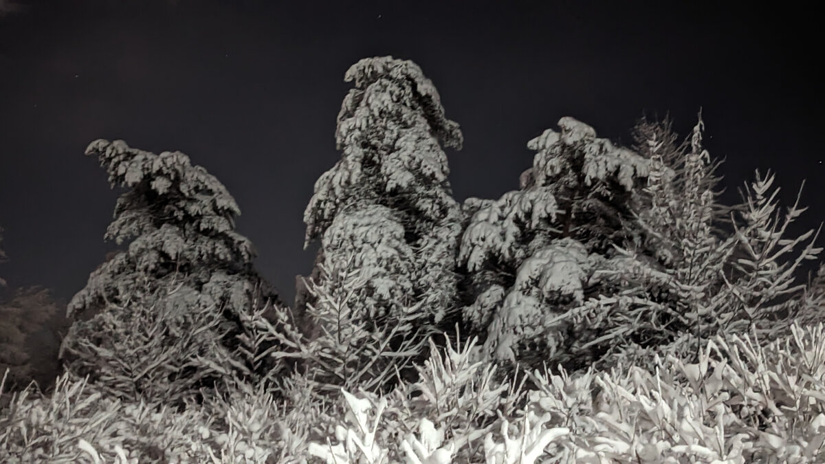 Зима в Курджиново. Фото автора