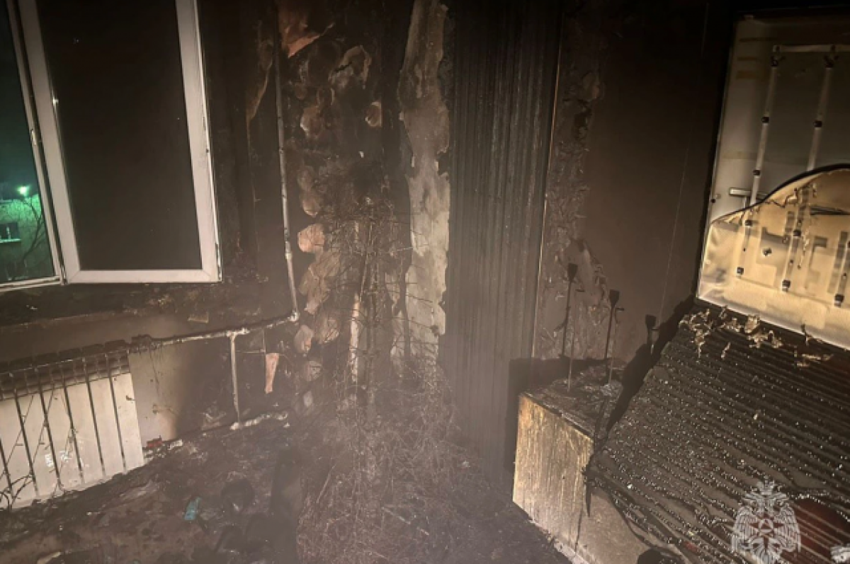    В Новосибирске в квартире из-за новогодней елки начался пожар