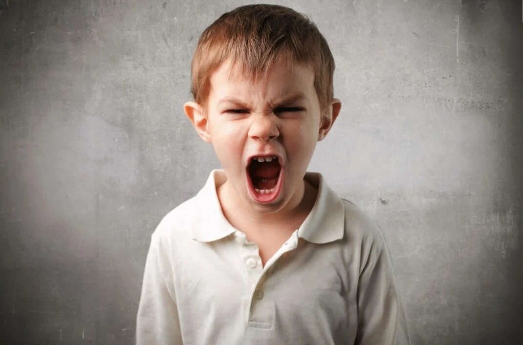 Фото с сайта econet.ru