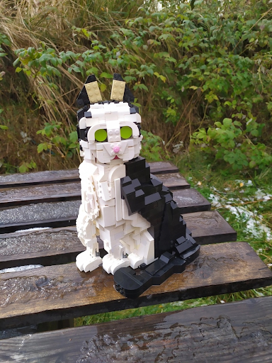  Кубикошка от команды «ГОРА»