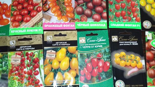 Диво- дивное, чудо-чудное! Золотые семена томатов. Обзор для теплицы ...