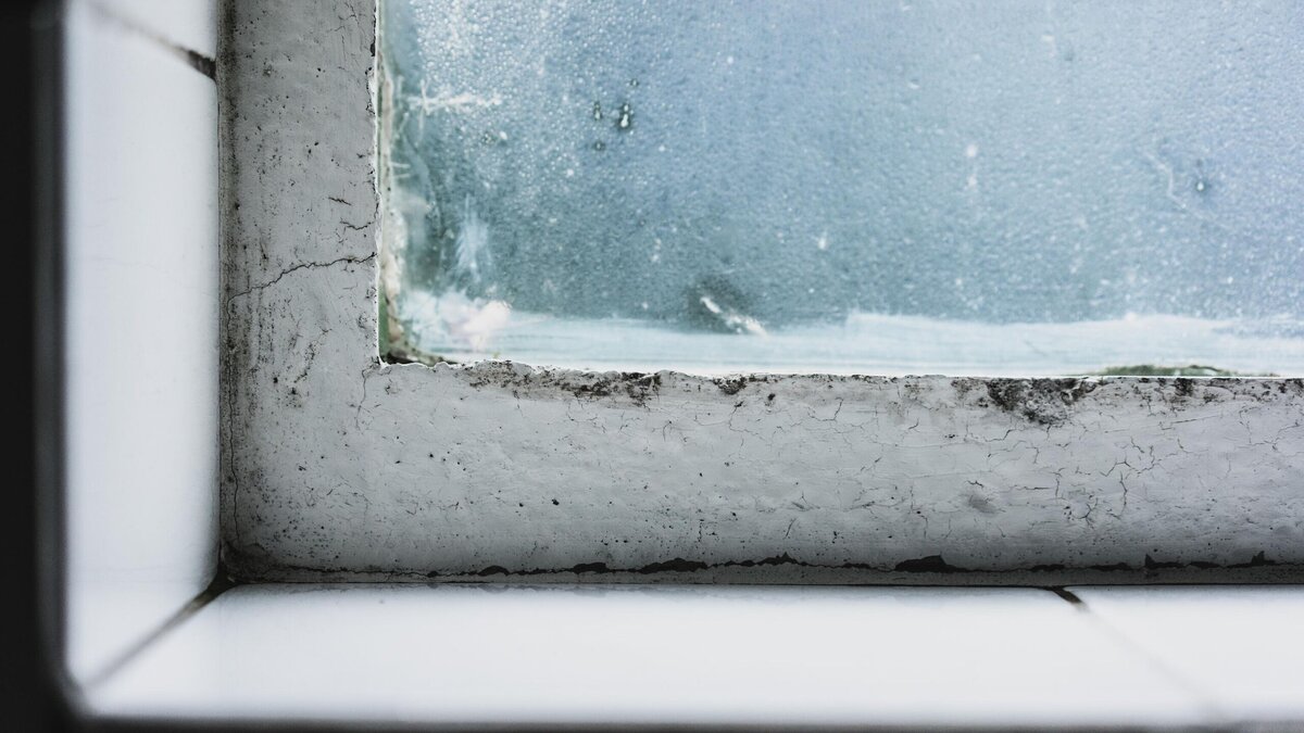    Запотели окна, а местами видна плесень? Несколько лайфхаков навсегда решат проблему© Freepik | wirestock