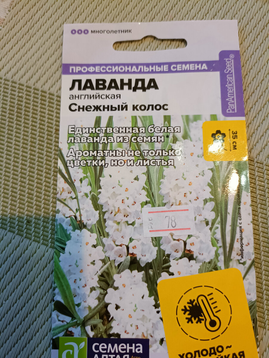 Наконец-то я купила лаванду. Попробую вырастить из семян в новом сезоне! |  На Зеленой улице | Дзен