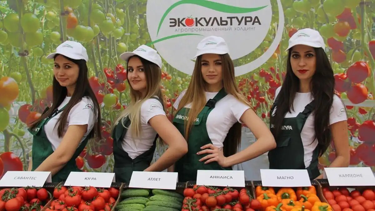 Фото:ООО АПХ ЭКО-культура. Продукция АПХ ЭКО-культура