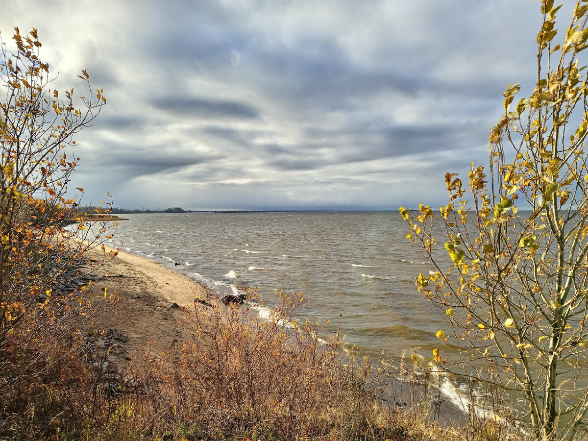Финский залив с косы