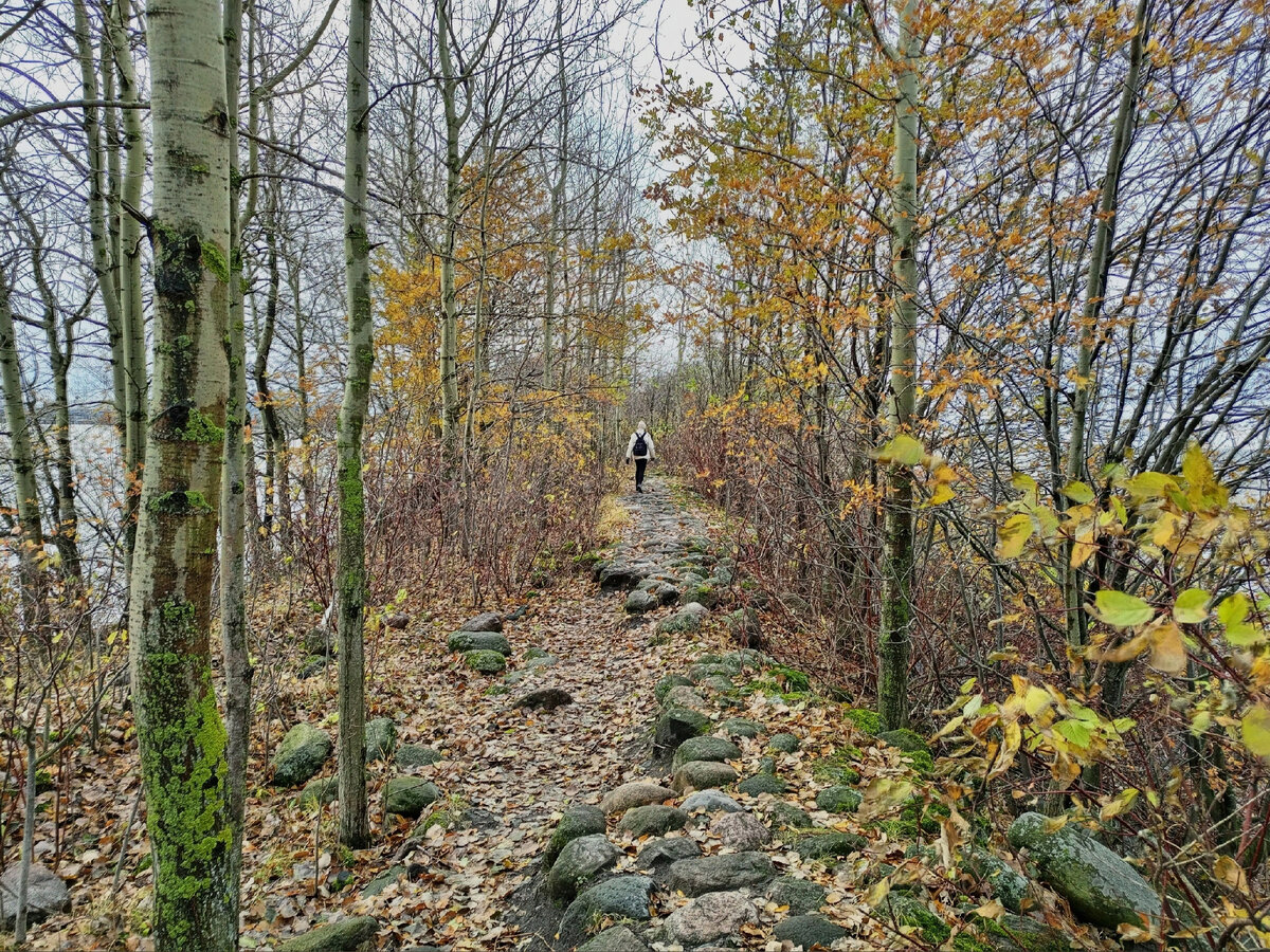 Канонерская дамба