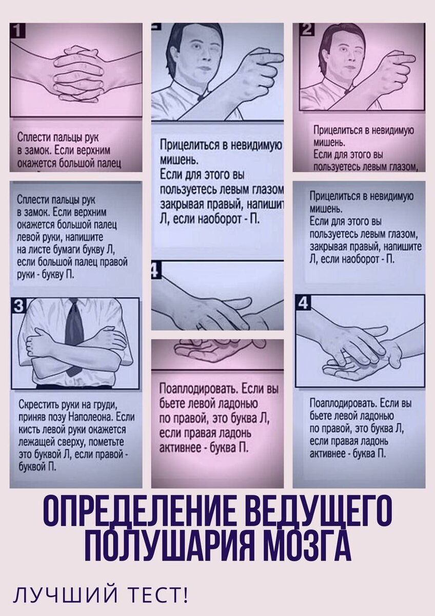 Тест на определение доминирующего полушария. Тест на определение доминирующего полушария