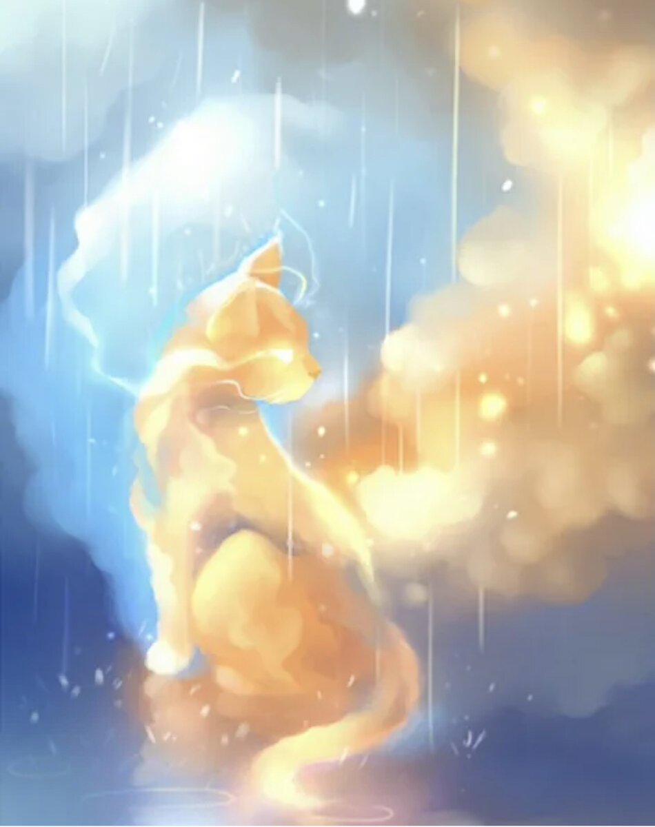 Картинка из инета