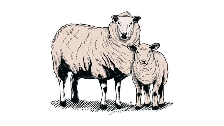 ИЛЛЮСТРАЦИЯ ИЗ КНИГИ НАТАЛЬИ ПЕТРОВОЙ И НАДЕЖДЫ РЫЧКОВОЙ «СТРАШНЫЙ, ТАИНСТВЕННЫЙ, РАЗНЫЙ НОВЫЙ ГОД. ОТ ЧУКОТКИ ДО КАРЕЛИИ: СТАРИННЫЕ ЛЕГЕНДЫ, МАГИЧЕСКИЕ ОБРЯДЫ, ПРАЗДНИЧНЫЕ ОБЫЧАИ НАРОДОВ РОССИИ». ИЗДАТЕЛЬСТВО «МАНН, ИВАНОВ И ФЕРБЕР», МОСКВА, 2022