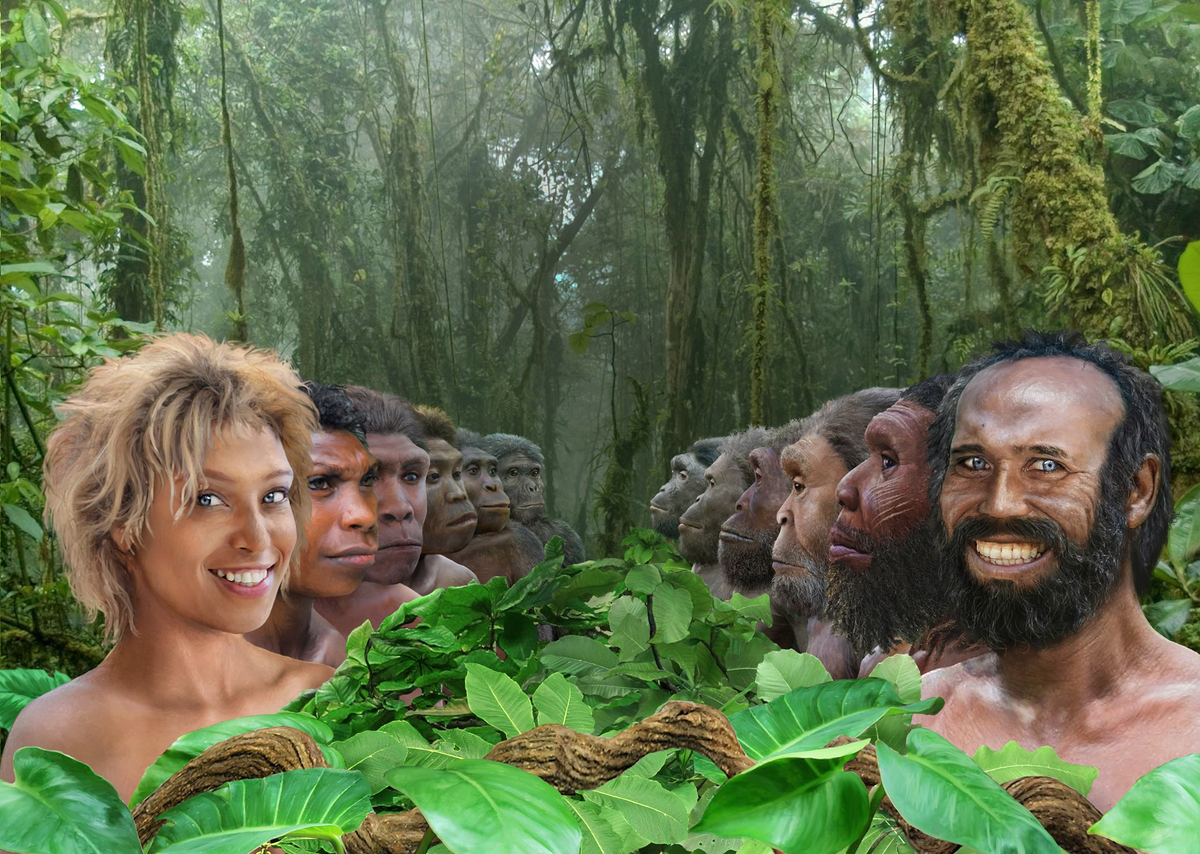 Изображение с обложки книги. Автор — Роман Евсеев.