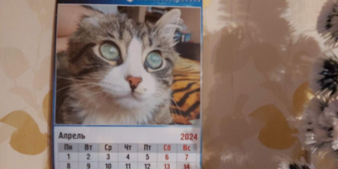 Добрые слова