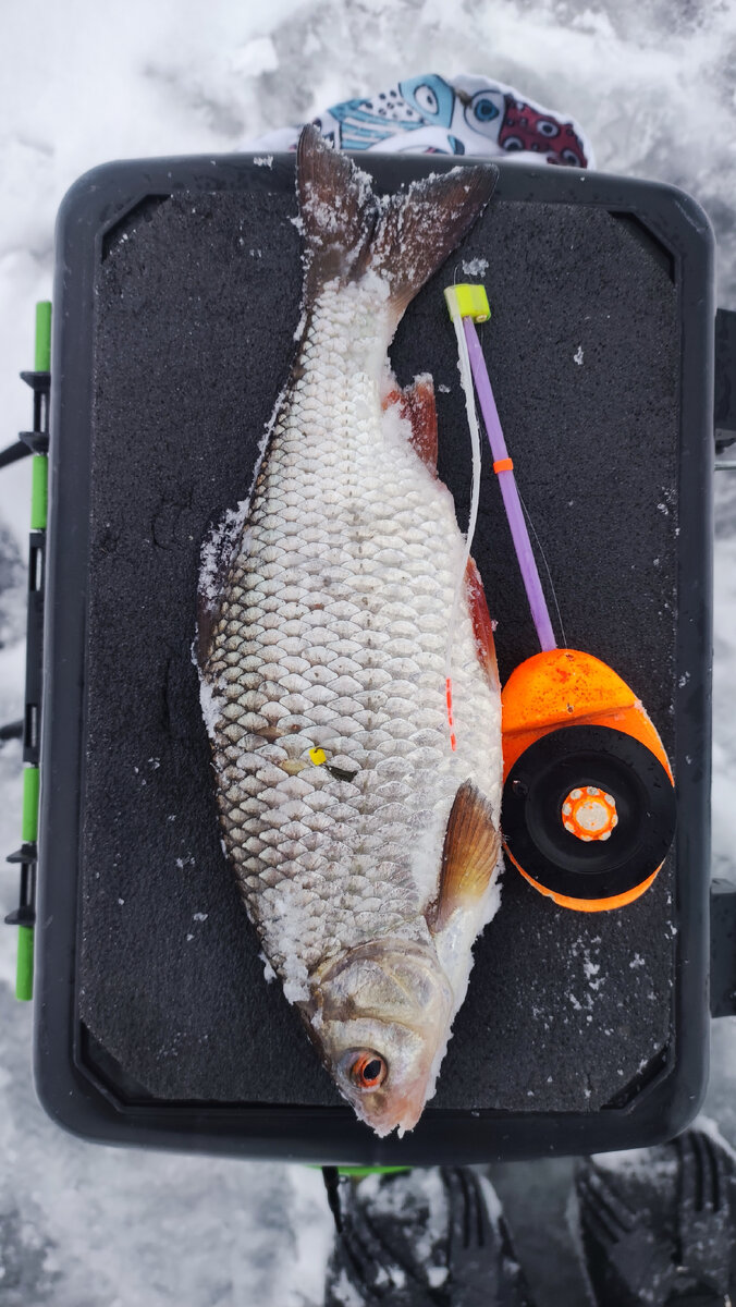 Первая моя удочка безмотылка, все еще в строю.