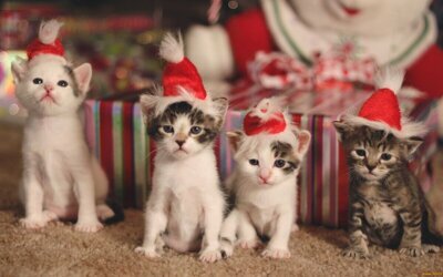 СМЕШНЫЕ СТИХИ ДЛЯ ДЕТЕЙ НА НОВЫЙ ГОД
