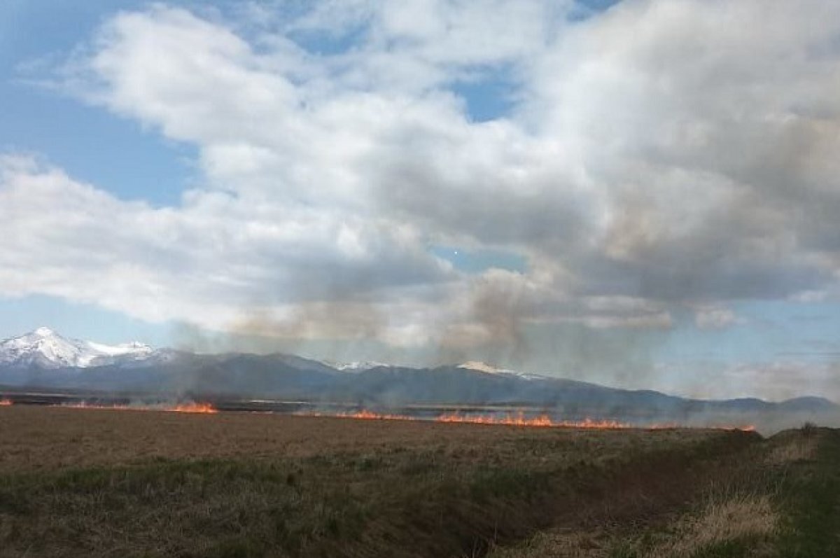    Камчатке компенсировали более 20 млн на тушение лесных пожаров