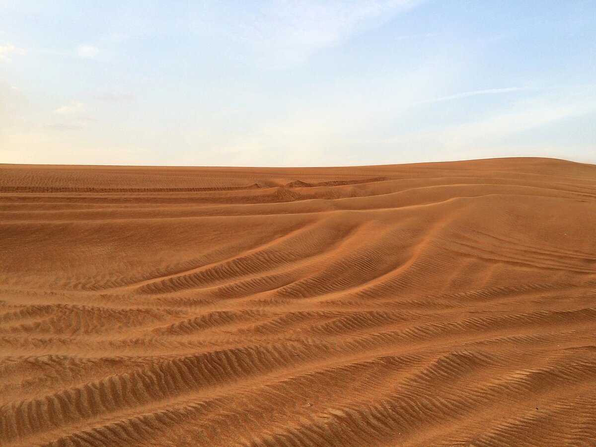 Some species of organisms that have adapted to this desert environment live in this harsh environment, such as sand gazelles and spiny-tailed lizards. This desert environment is characterized by red sand dunes and deadly quicksand. The climate is mostly dry (precipitation averages about 100 mm (3.9 in) per year but rare elsewhere (less than 50 mm), and temperatures vary between very hot in summer and seasonal night freezes in winter.The Arabian Desert ecoregion has little biodiversity although few plants grow. The numbers of many animals such as the striped hyena, jackal and honey badger have declined due to hunting, human encroachment and habitat destruction. Other species have been successfully reintroduced, such as the Arabian sand gazelle.