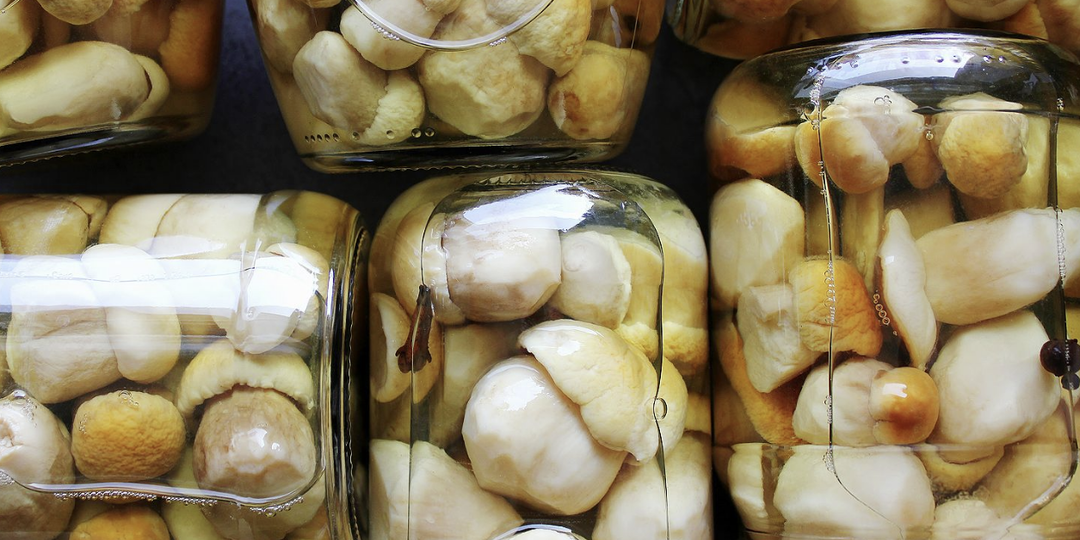 Маринованные грибы. "Элитка": что это, зачем нужна и какие к ней требования