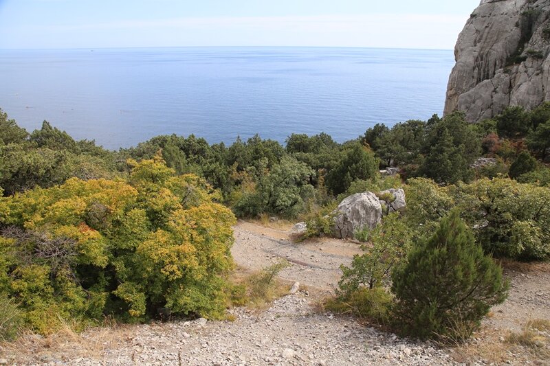 Схема 100 лет