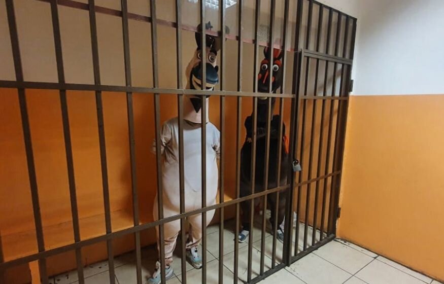    Аниматоров обяжут предоставлять справки от психиатра