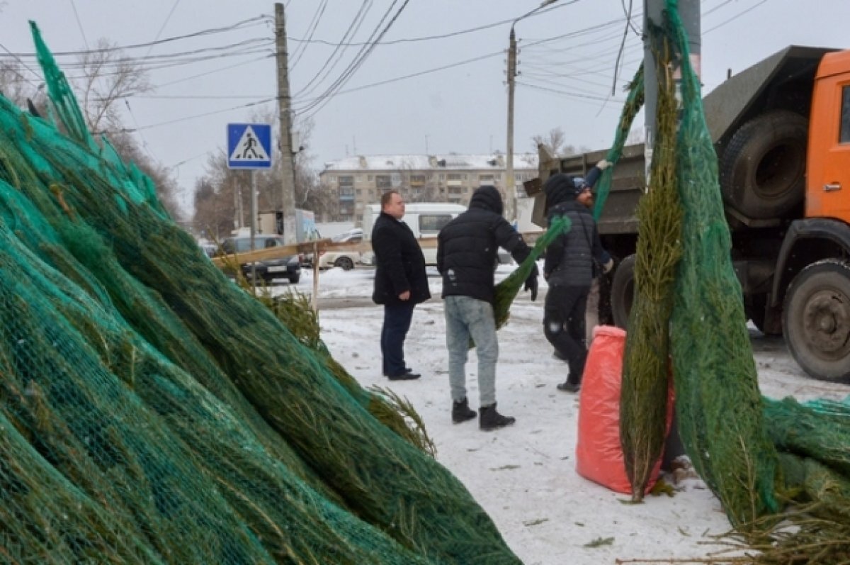    Незаконные елочные базары выявили в ходе рейдов в Нижнем Новгороде