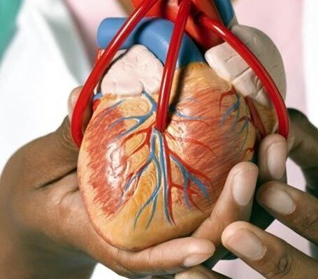 Фото из интернета. Действительно мотор какой-то. А сколько эмоций! Сколько переживаний!