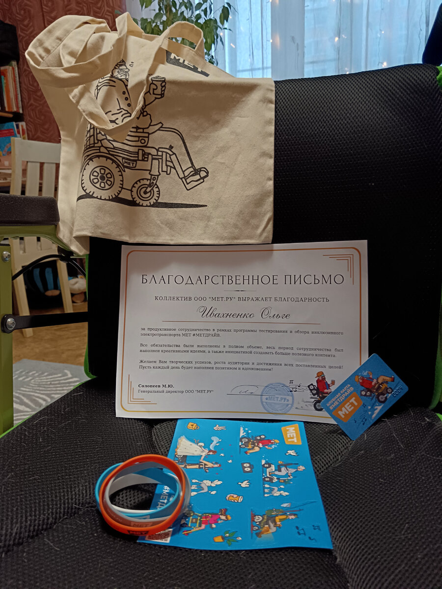 Кошкина постелька, шерсть по всему сиденью