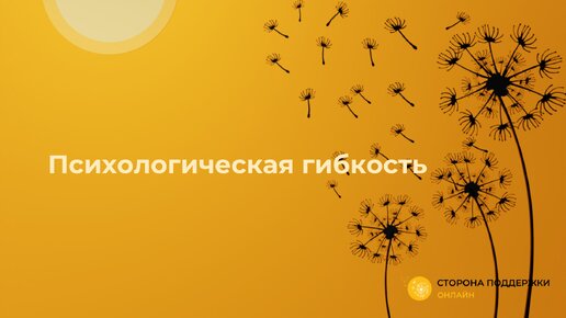 Психологическая гибкость