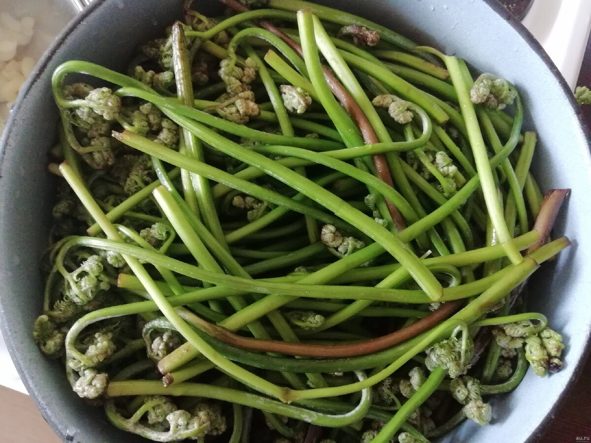 Так они выглядят в свежем виде. Фото из открытого источника (Яндекс картинки)