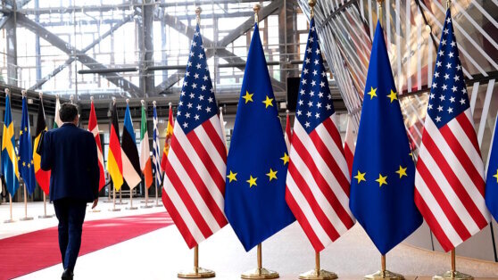    FT сообщила о возражениях ряда стран G7 на идею США по конфискации активов РФ Ирина Петрова