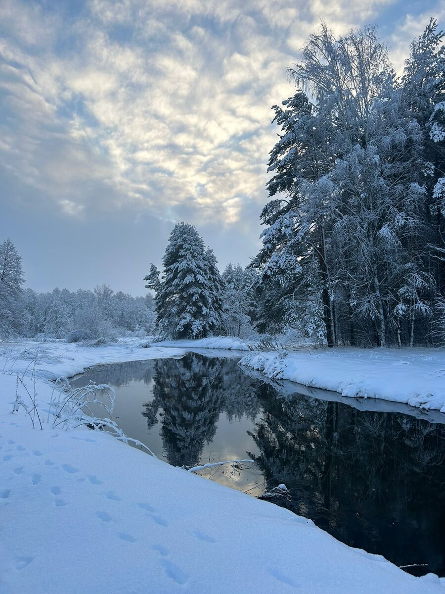Фото моё