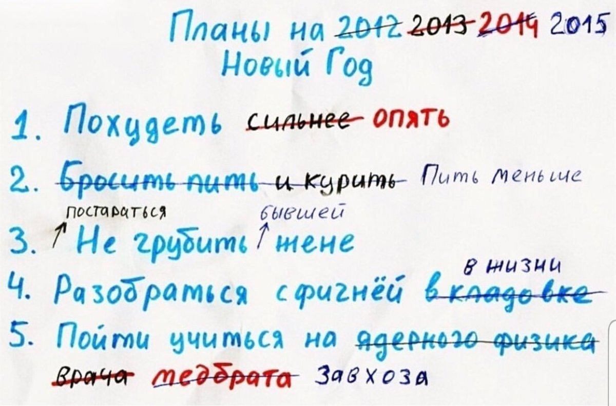 Планы на новый год. Смешные планы на год. Планы на год прикол. Планы на новый год список.