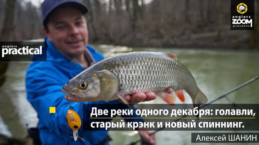 Две реки одного декабря: голавли, старый крэнк и новый спиннинг. Алексей Шанин.