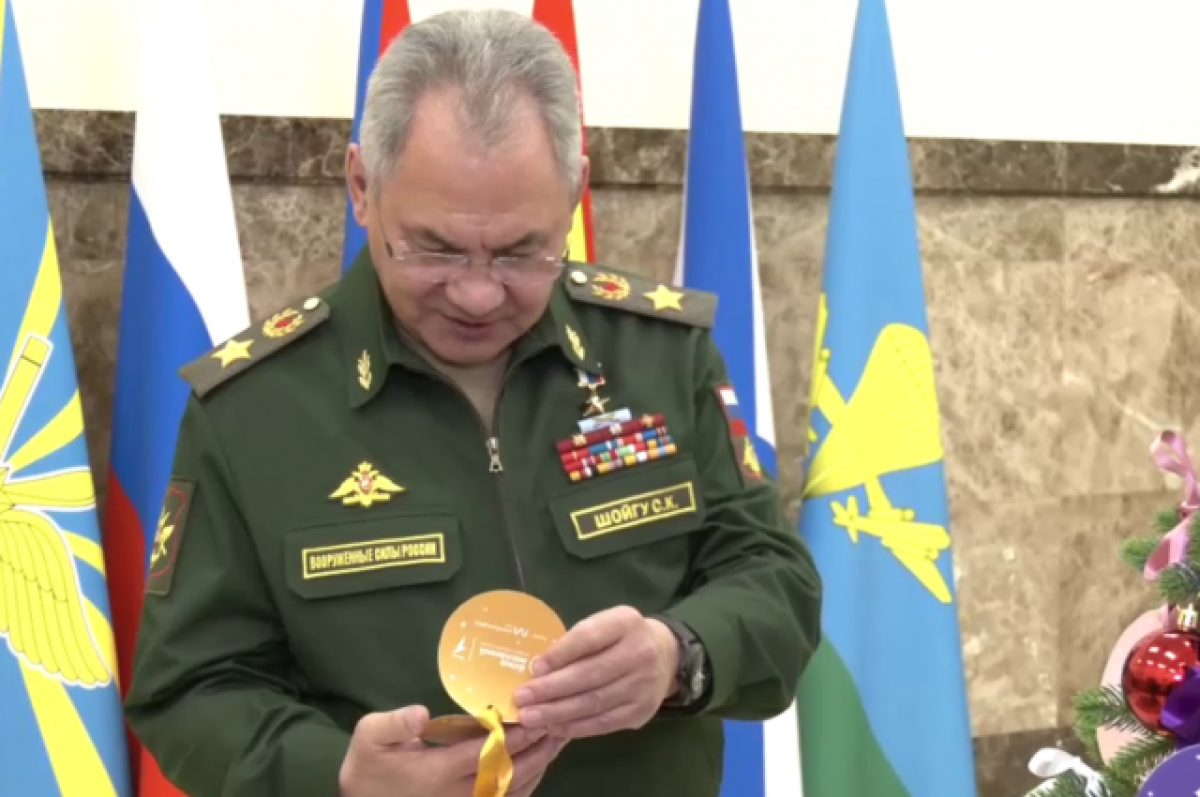    Шойгу познакомит девочку с пилотажной группой в рамках акции «Елка желаний»