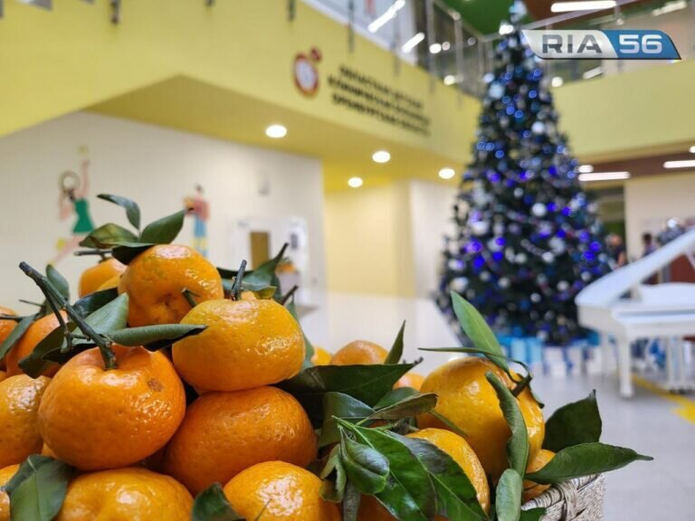    Стало известно, как будут работать больницы и поликлиники Оренбуржья в новогодние праздники Марина Шарт