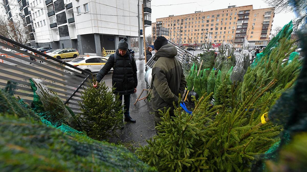    Фото: Сергей Киселев / АГН Москва