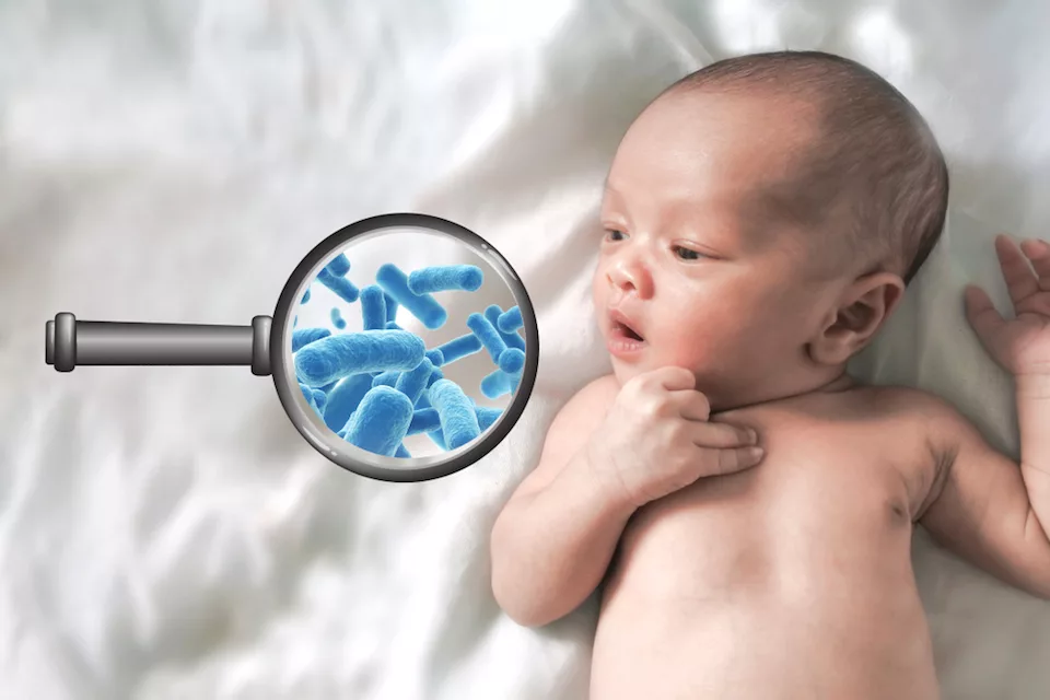 Микрофлора новорожденного. Иммунитет новорожденных. Для иммунитета детям. Иммунная система новорожденного ребенка.