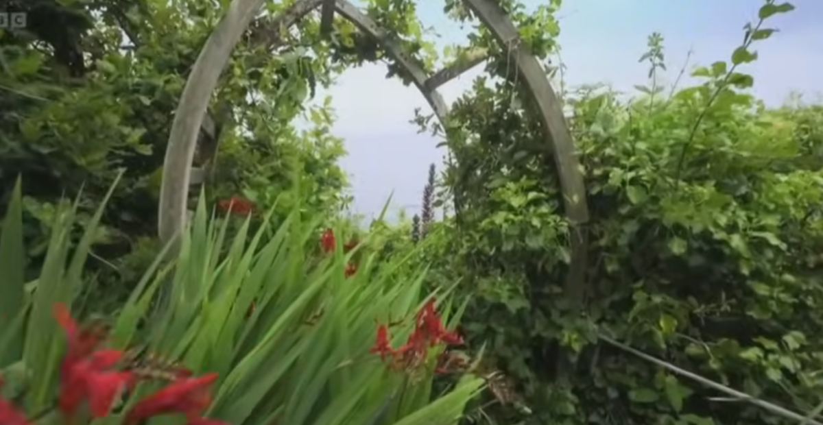 Сад в Корнуолле. Скриншот из видео здесь и дальше