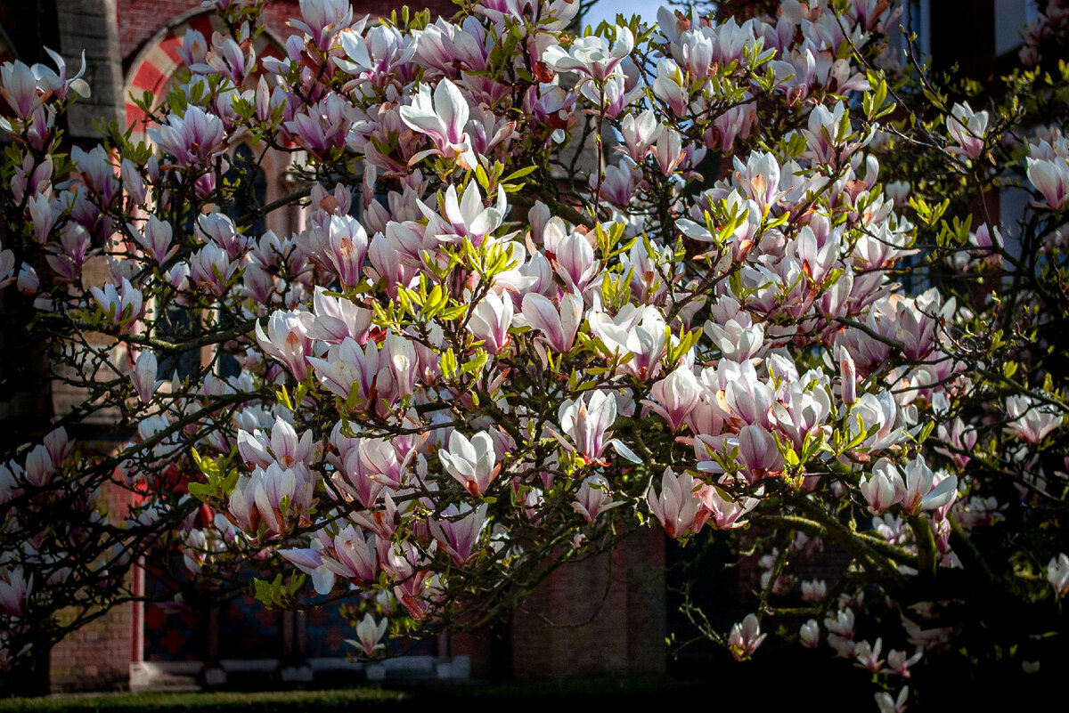 Картинка с бесплатного фотостока https://unsplash.com, автор Yoksel 🌿 Zok