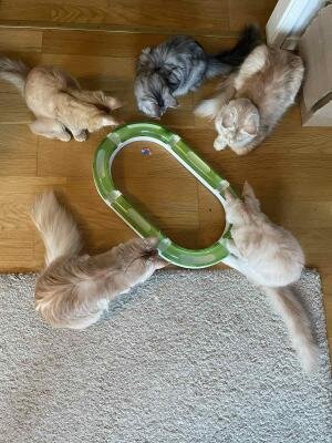 Начнем по порядку, с физиологии