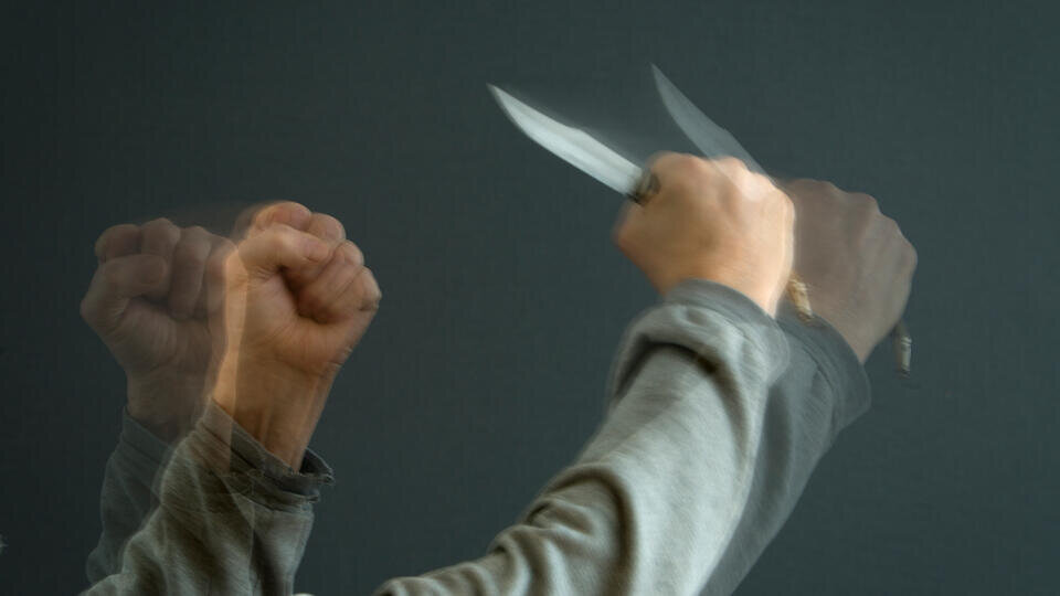 Фото: © Global Look Press/Nikolay Gyngazov