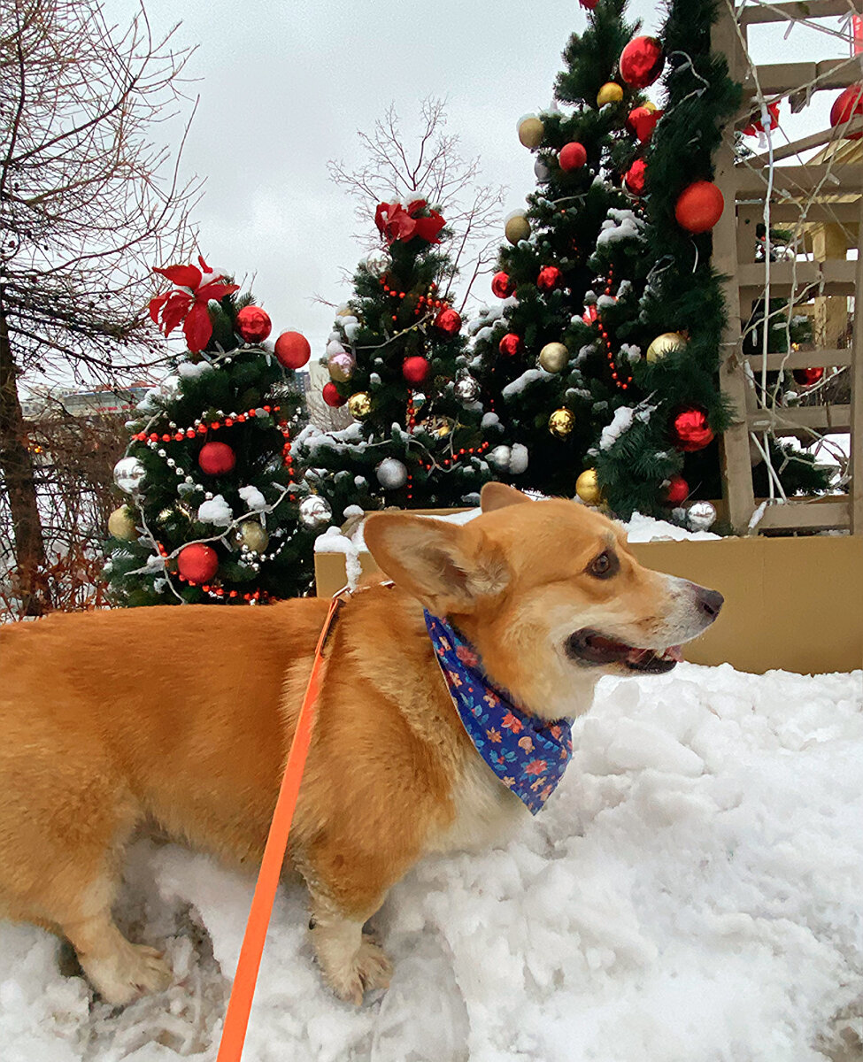 Снова на Митинской после долгого перерыва